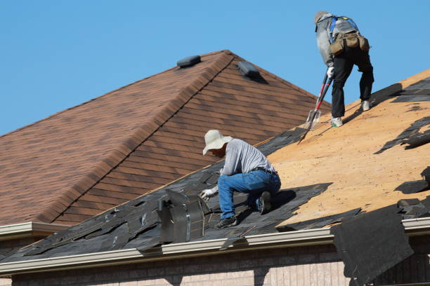 Best Cold Roofs  in Lucasville, OH